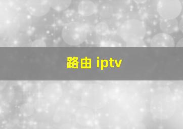 路由 iptv